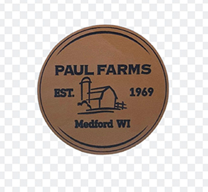Leather Patches 3
